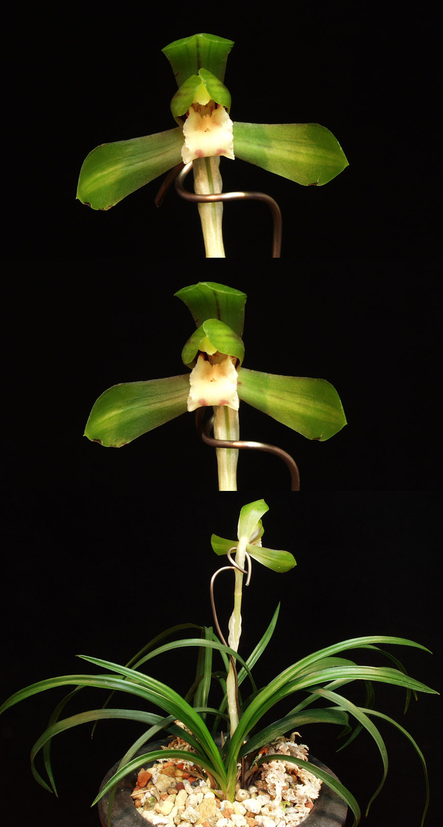 ������ ū������ �� �� �ֽ��ϴ�.