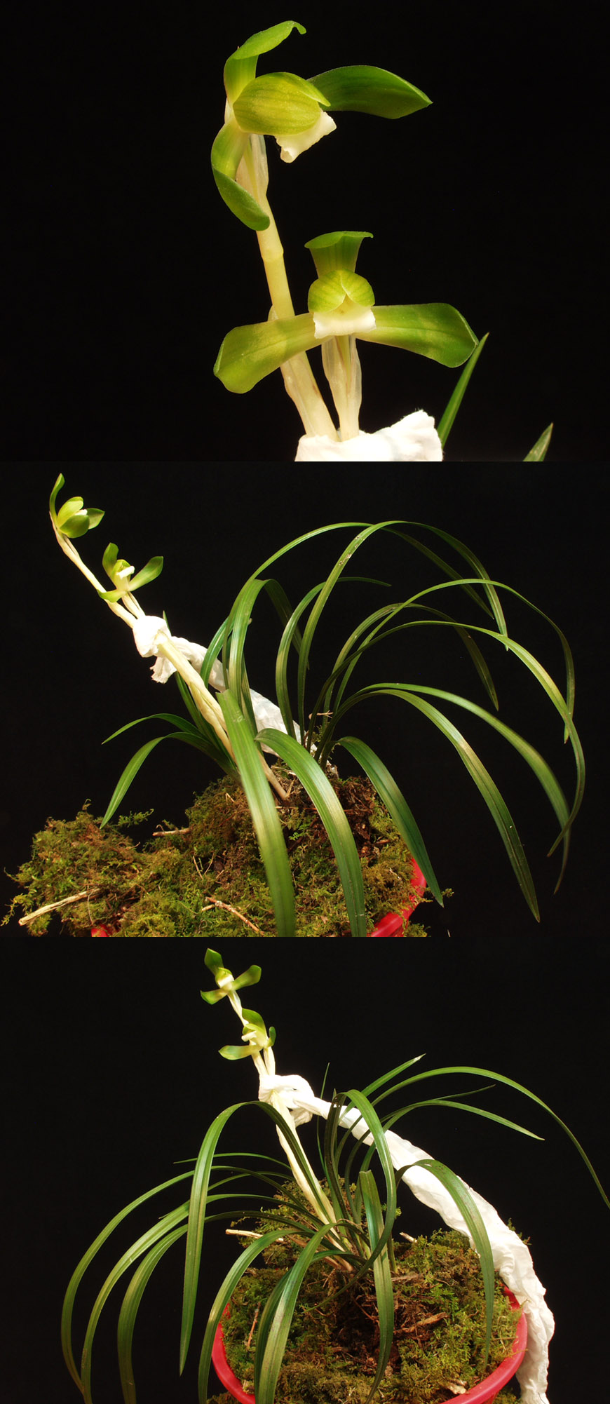 ������ ū������ �� �� �ֽ��ϴ�.