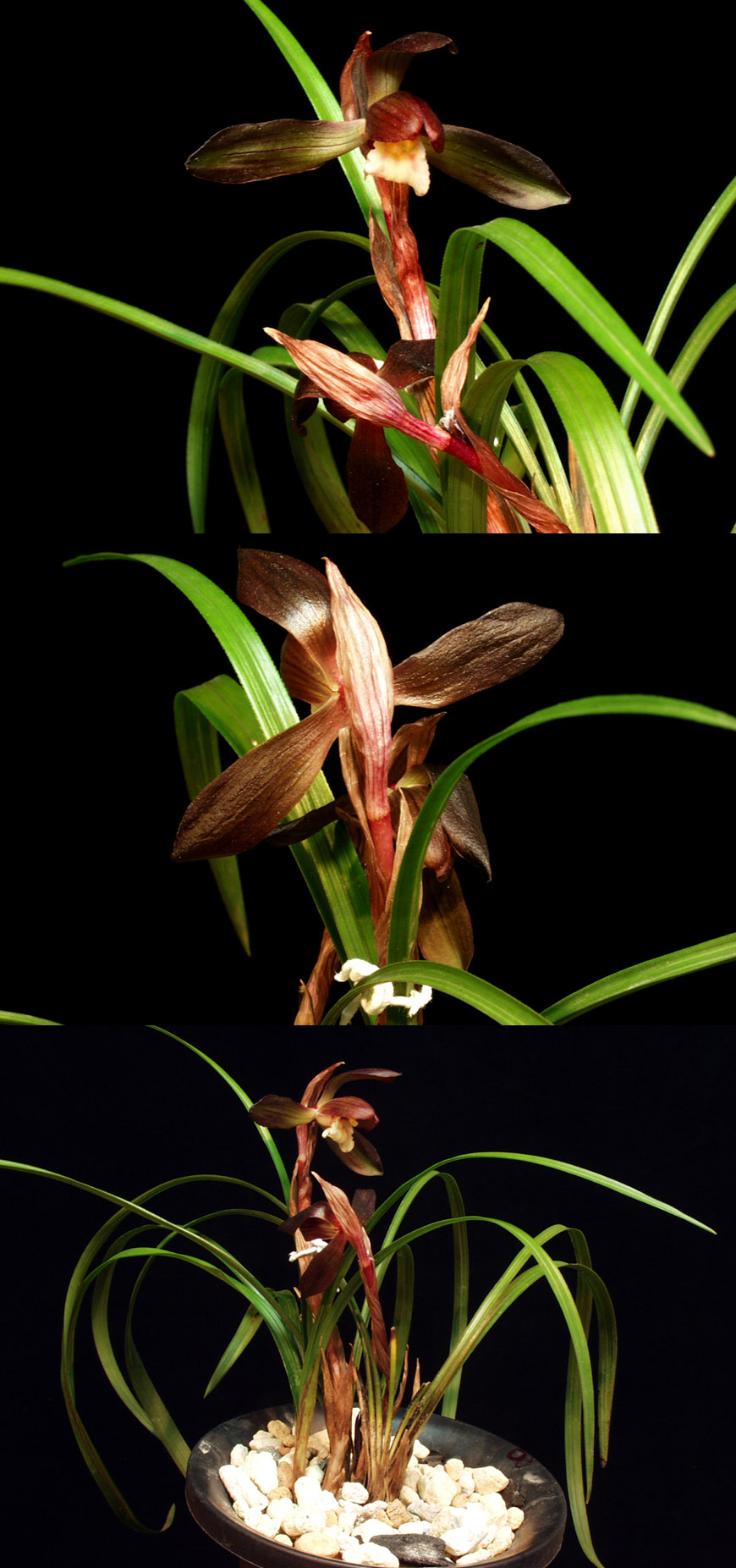 ������ ū������ �� �� �ֽ��ϴ�.