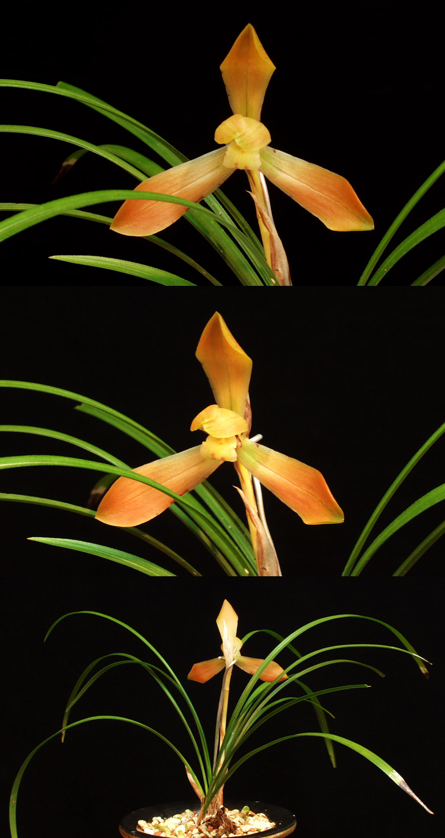 ������ ū������ �� �� �ֽ��ϴ�.