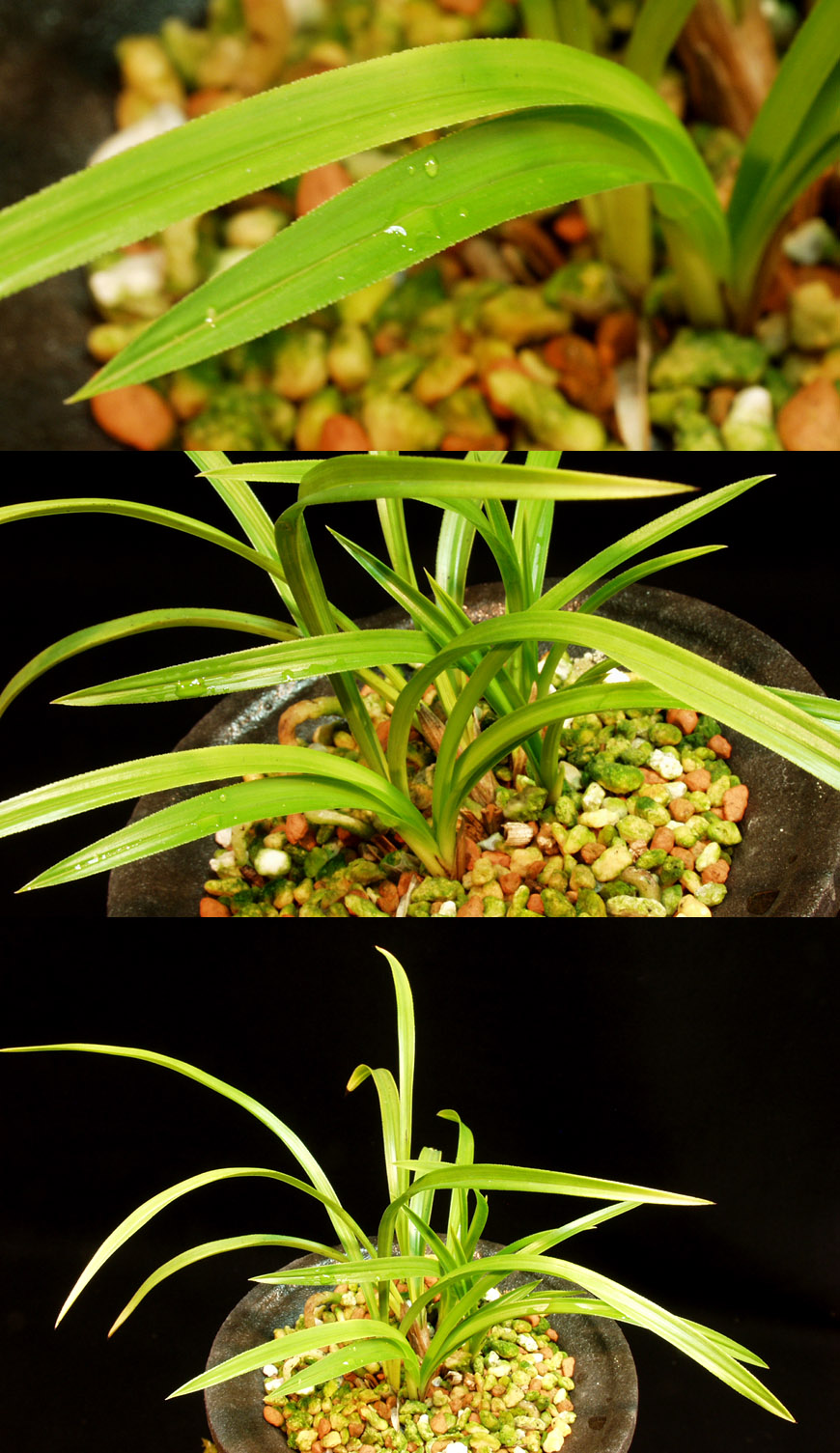 ������ ū������ �� �� �ֽ��ϴ�.