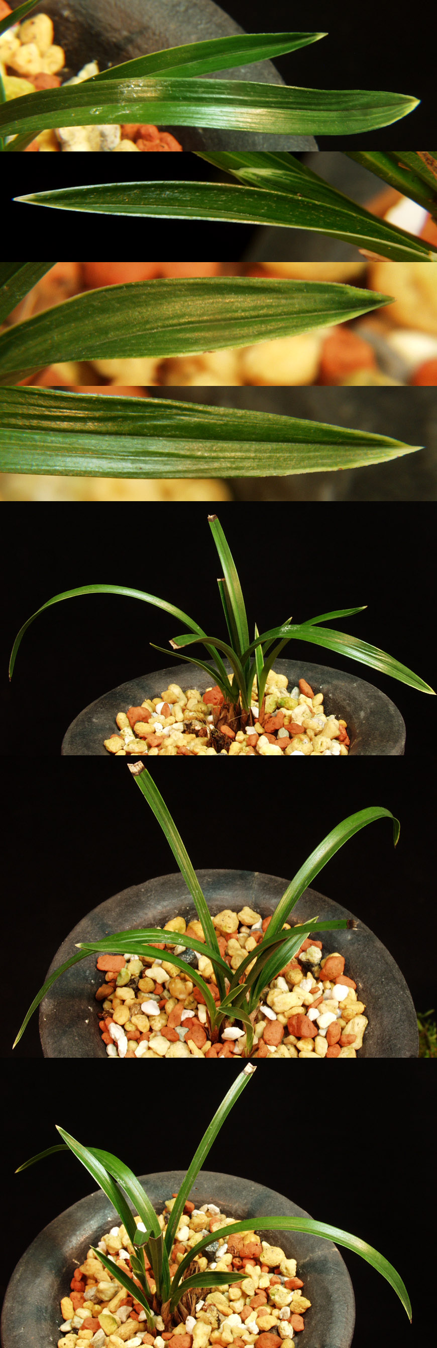 ������ ū������ �� �� �ֽ��ϴ�.