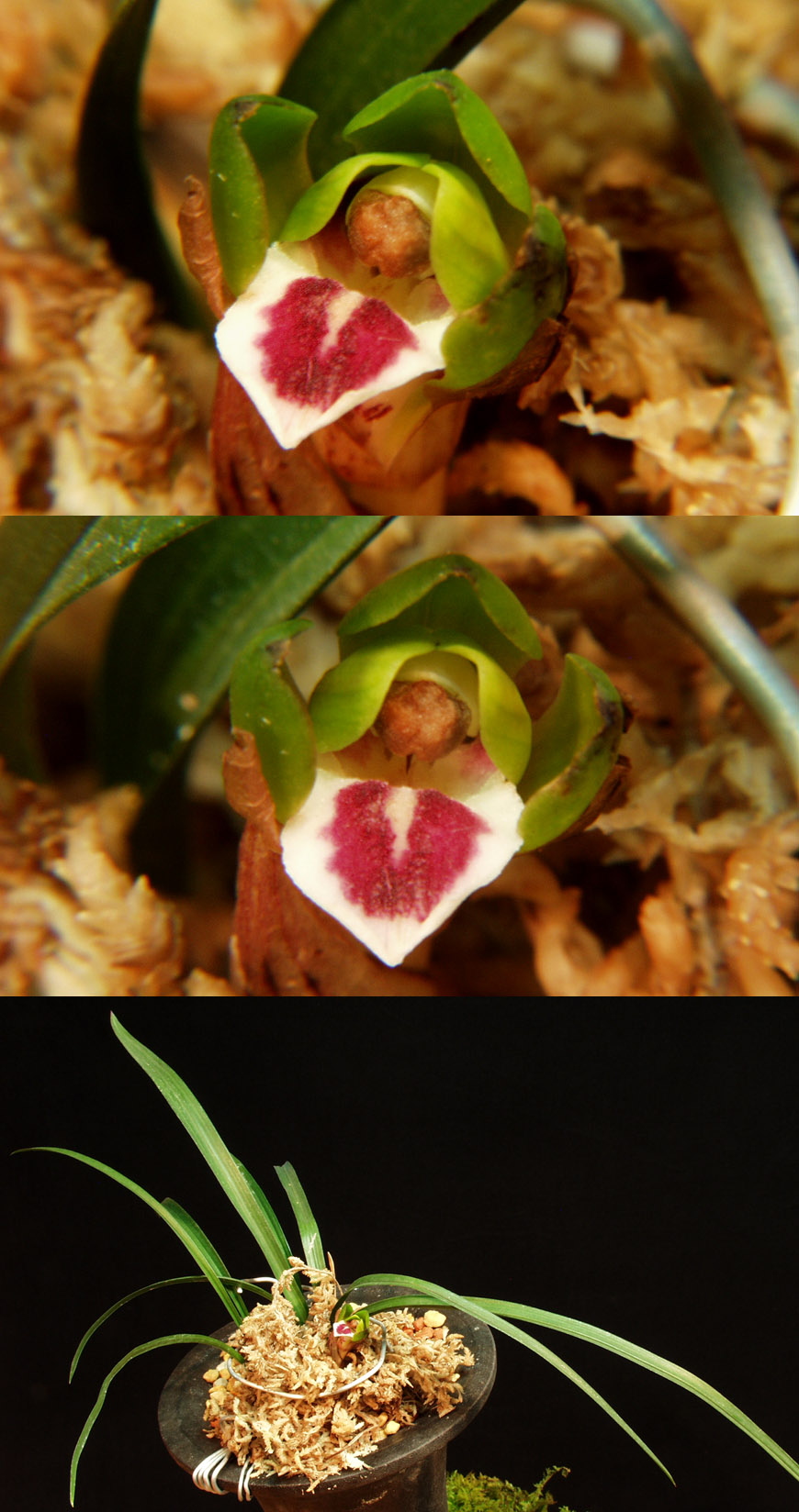 ������ ū������ �� �� �ֽ��ϴ�.