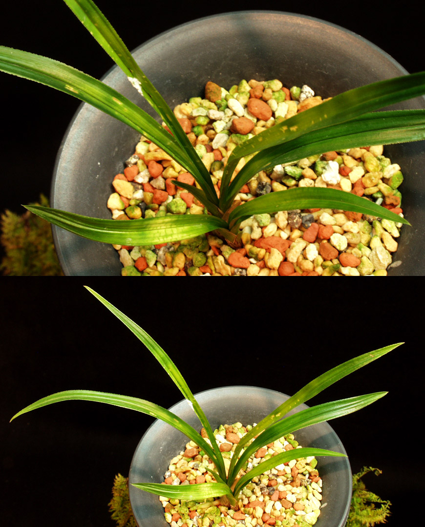 ������ ū������ �� �� �ֽ��ϴ�.