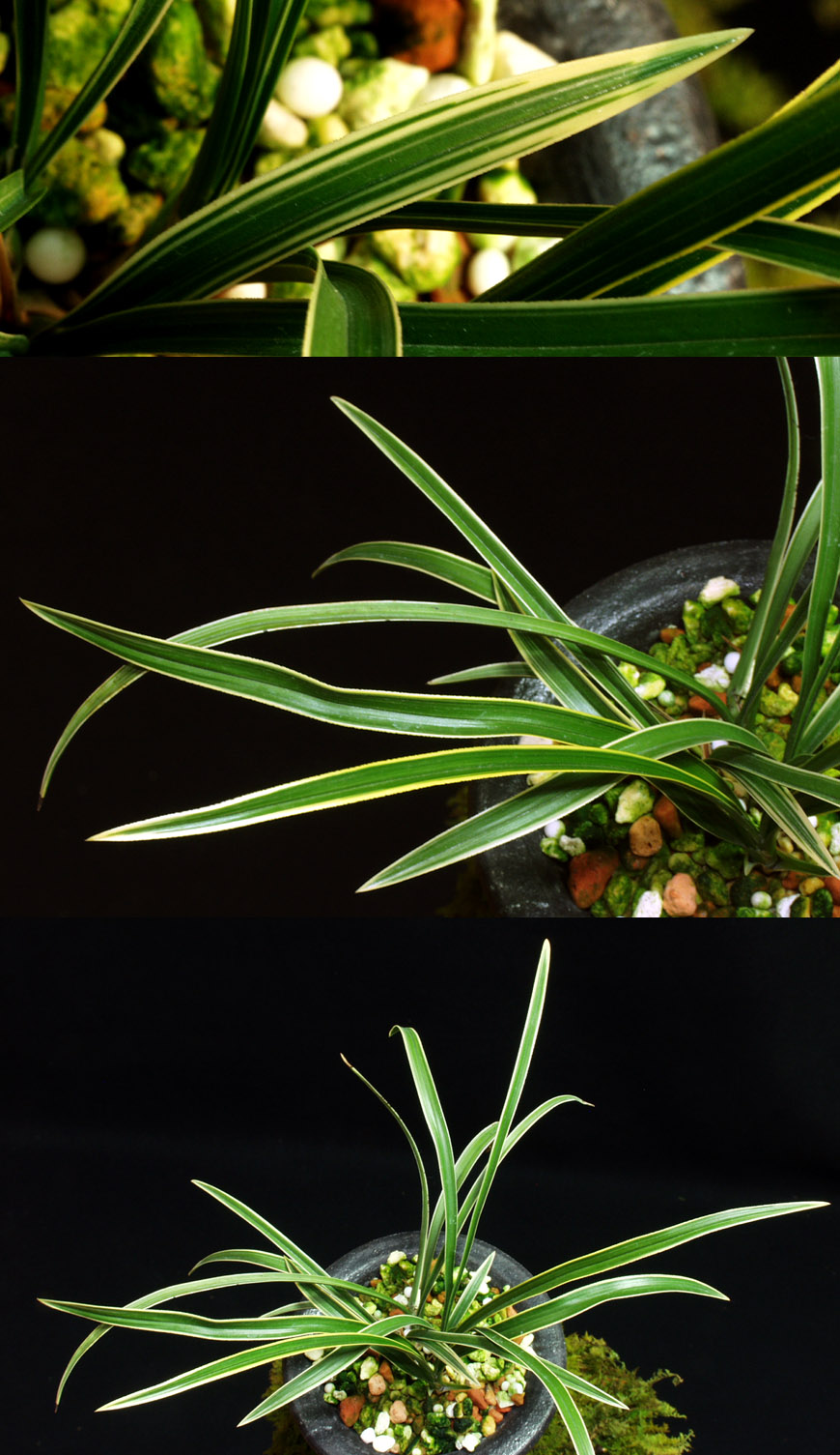 ������ ū������ �� �� �ֽ��ϴ�.