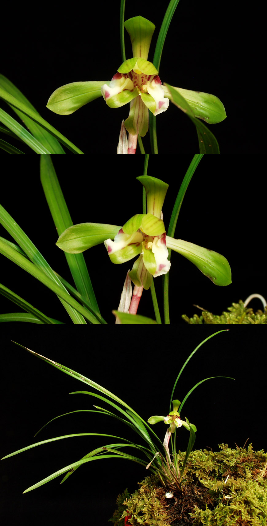 ������ ū������ �� �� �ֽ��ϴ�.