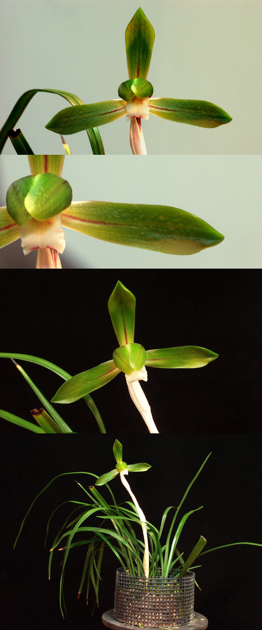 ������ ū������ �� �� �ֽ��ϴ�.