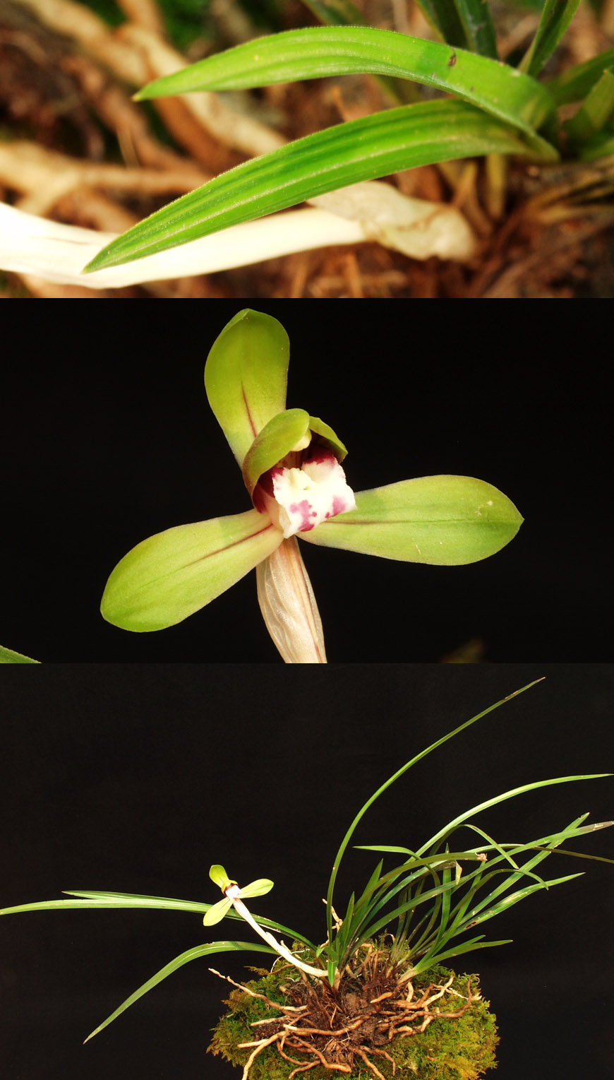 ������ ū������ �� �� �ֽ��ϴ�.