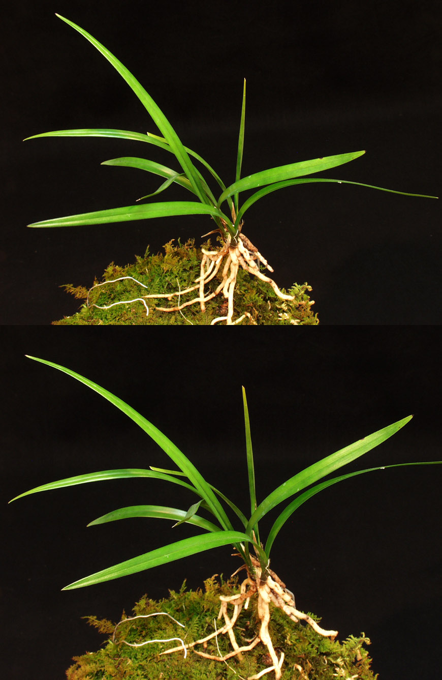 ������ ū������ �� �� �ֽ��ϴ�.