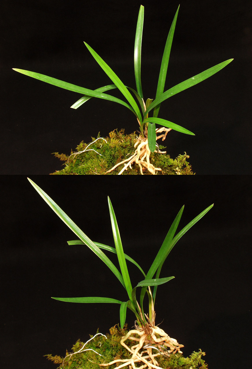 ������ ū������ �� �� �ֽ��ϴ�.