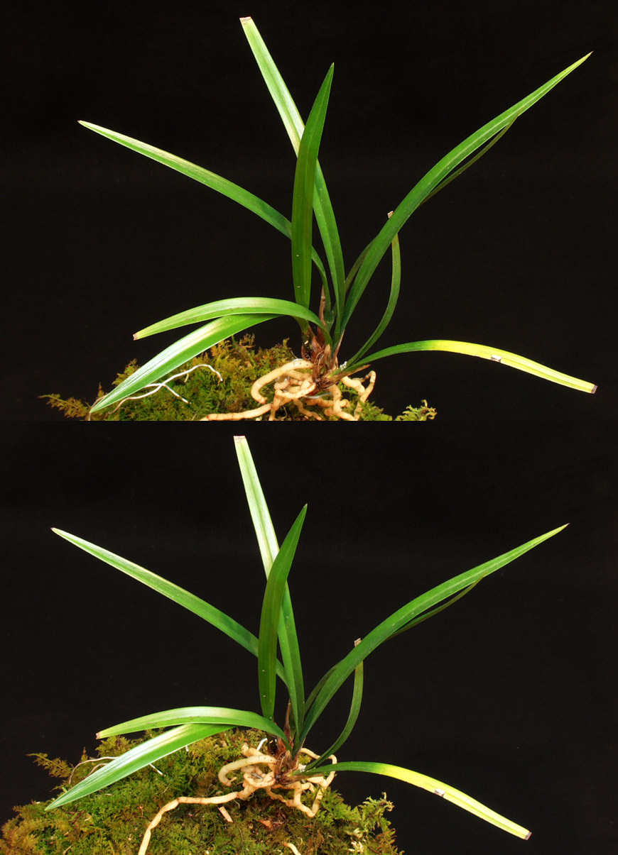 ������ ū������ �� �� �ֽ��ϴ�.