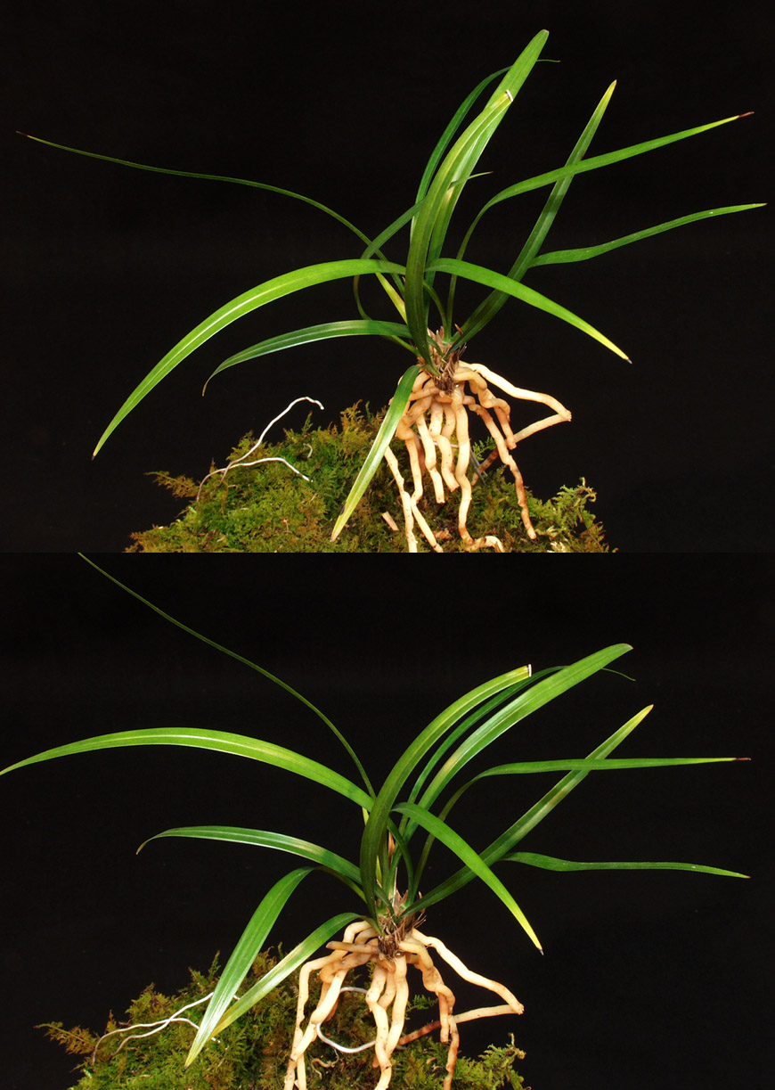 ������ ū������ �� �� �ֽ��ϴ�.