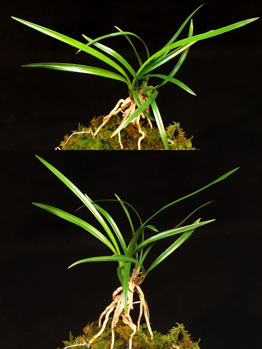 ������ ū������ �� �� �ֽ��ϴ�.