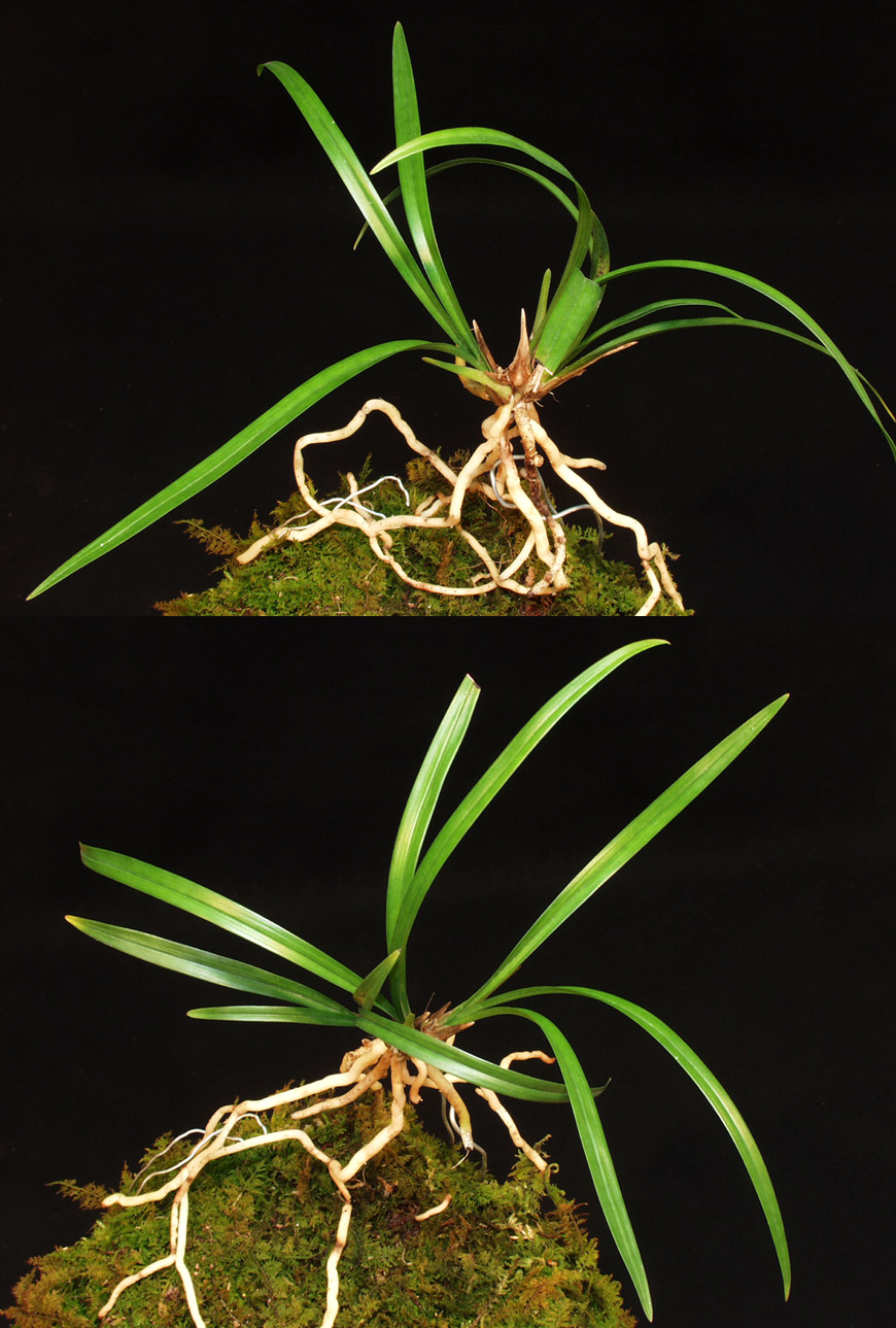 ������ ū������ �� �� �ֽ��ϴ�.