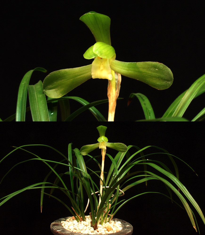 ������ ū������ �� �� �ֽ��ϴ�.