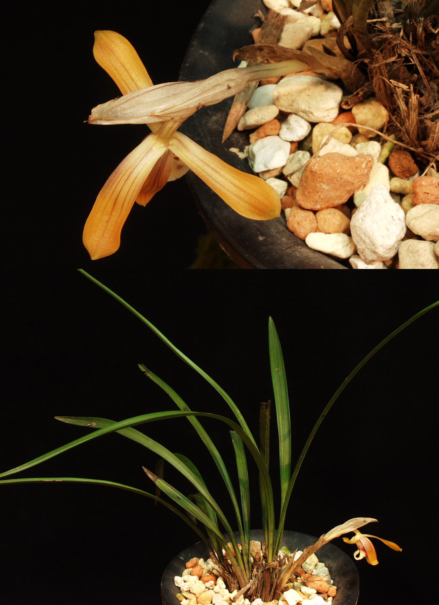 ������ ū������ �� �� �ֽ��ϴ�.