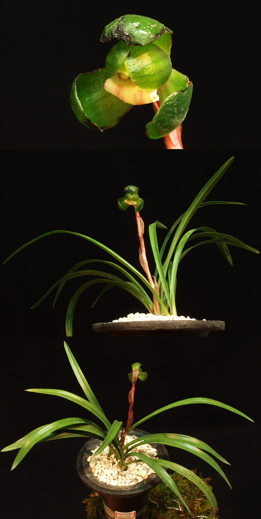 ������ ū������ �� �� �ֽ��ϴ�.