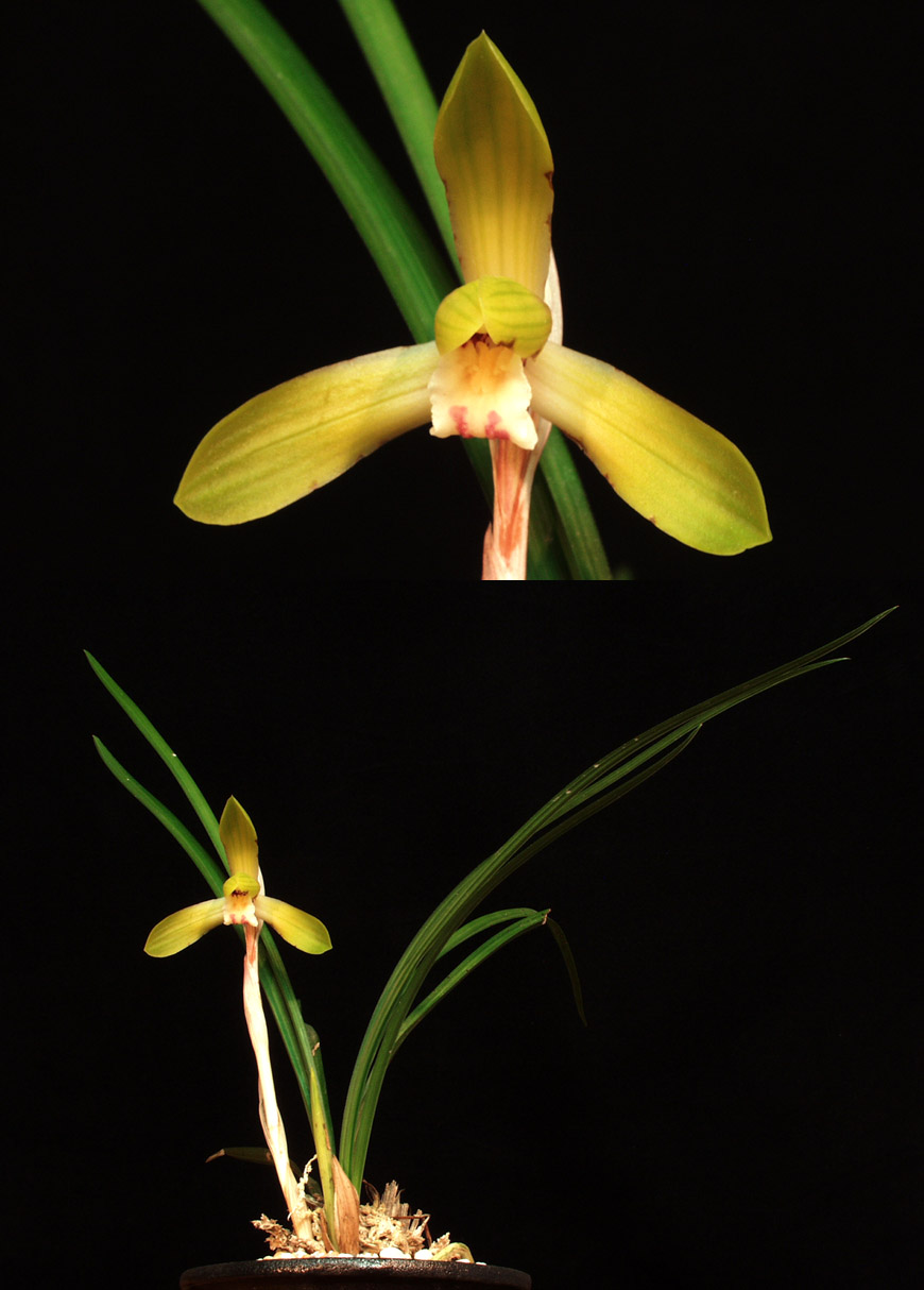 ������ ū������ �� �� �ֽ��ϴ�.