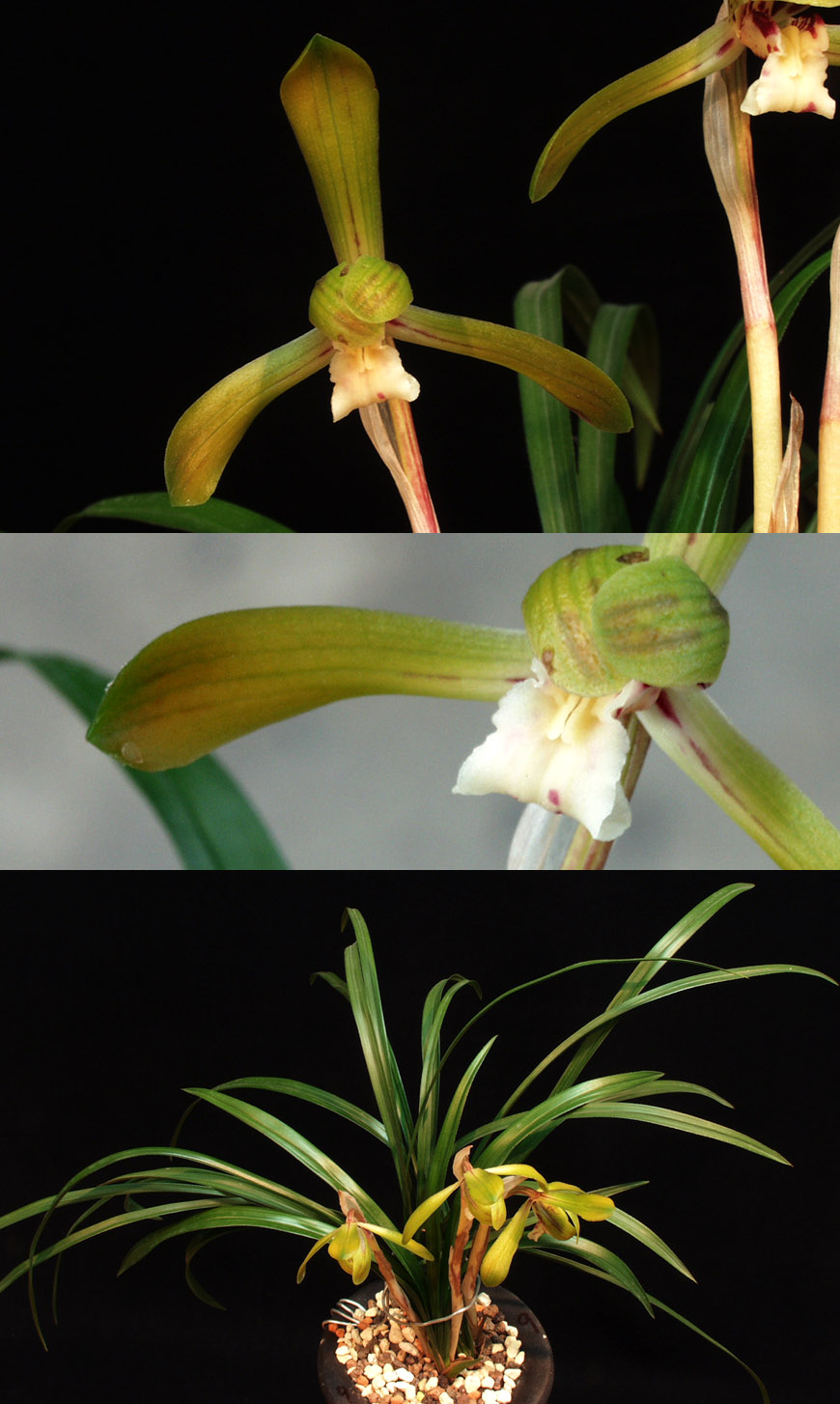 ������ ū������ �� �� �ֽ��ϴ�.