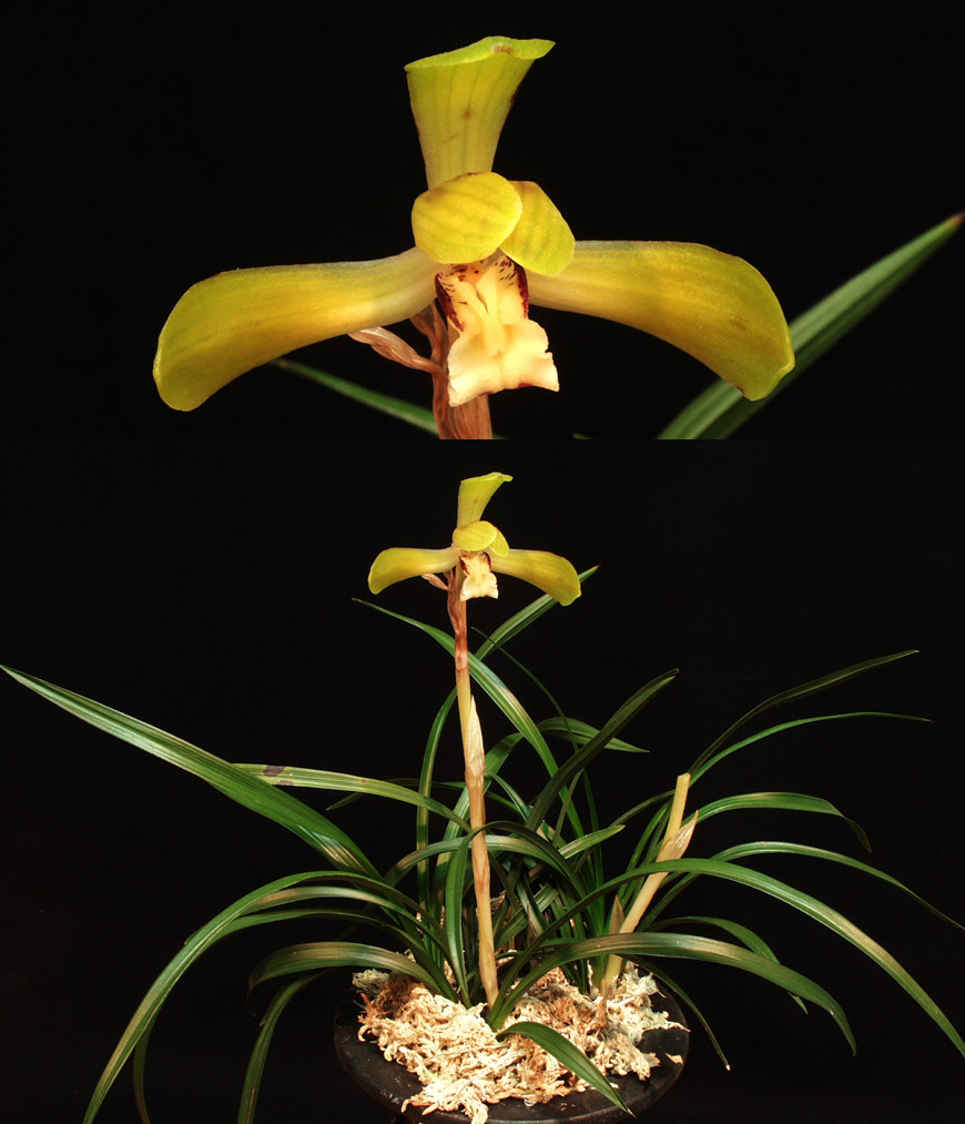 ������ ū������ �� �� �ֽ��ϴ�.