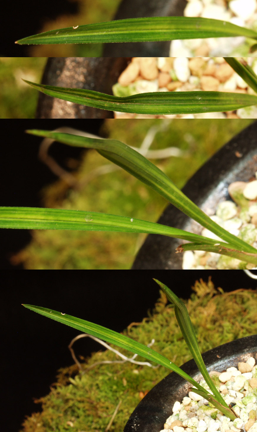 ������ ū������ �� �� �ֽ��ϴ�.