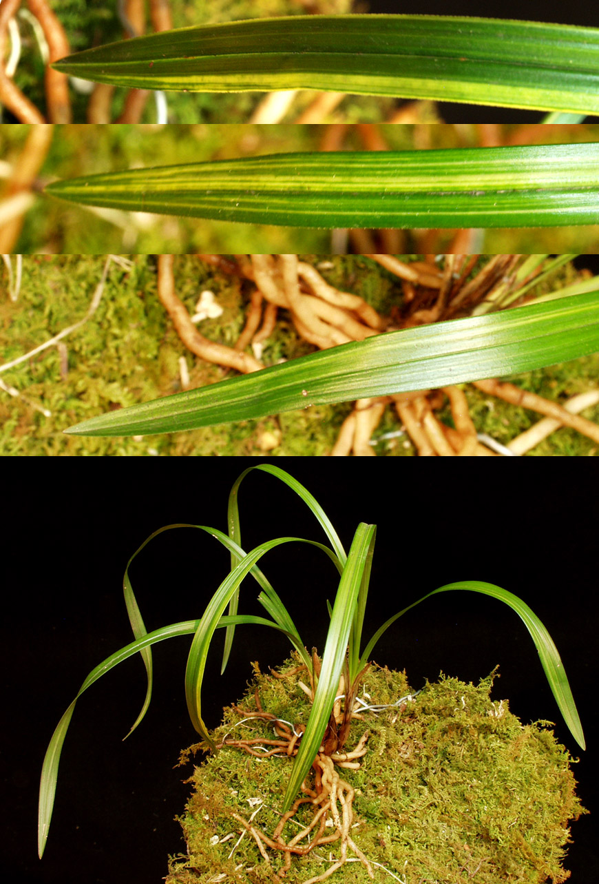 ������ ū������ �� �� �ֽ��ϴ�.