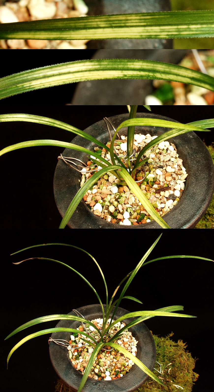 ������ ū������ �� �� �ֽ��ϴ�.