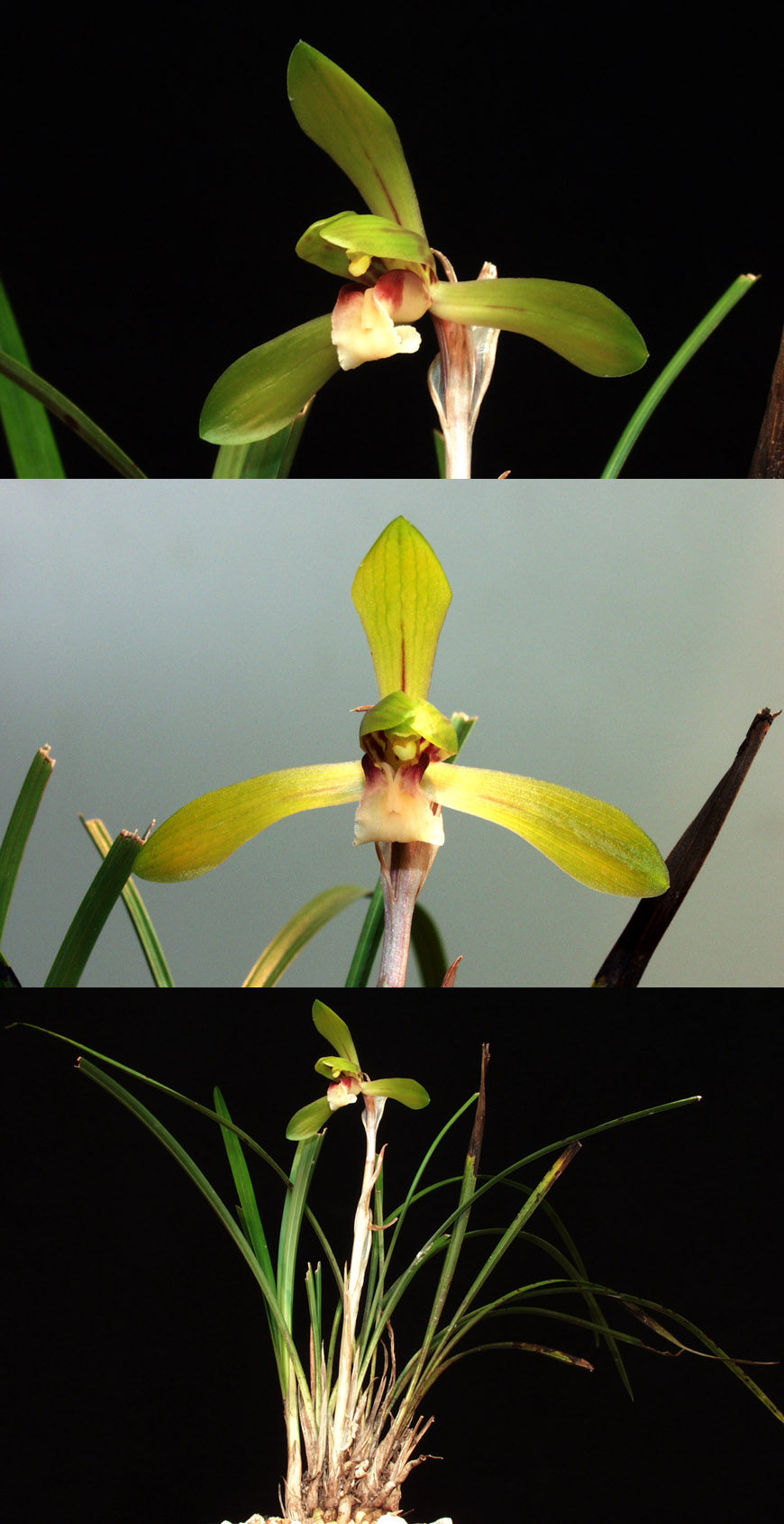 ������ ū������ �� �� �ֽ��ϴ�.