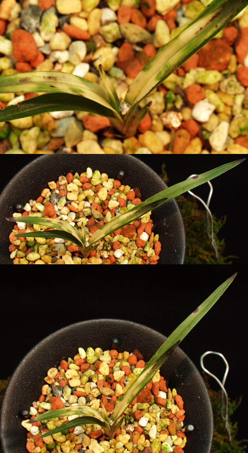 ������ ū������ �� �� �ֽ��ϴ�.