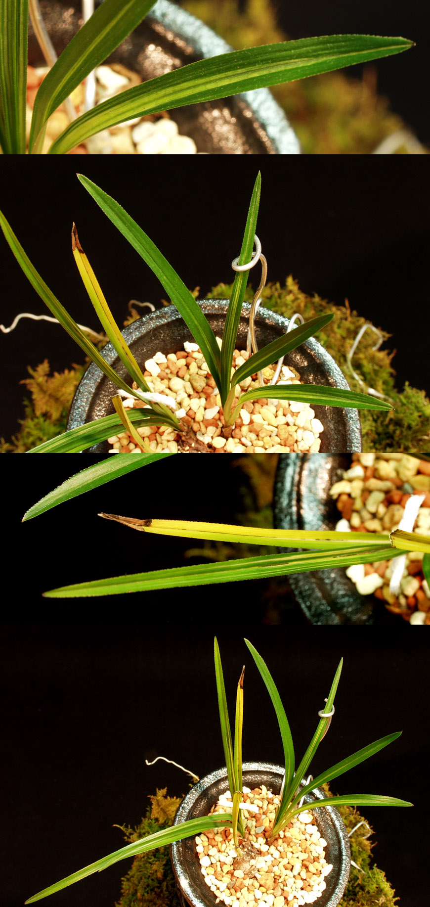 ������ ū������ �� �� �ֽ��ϴ�.