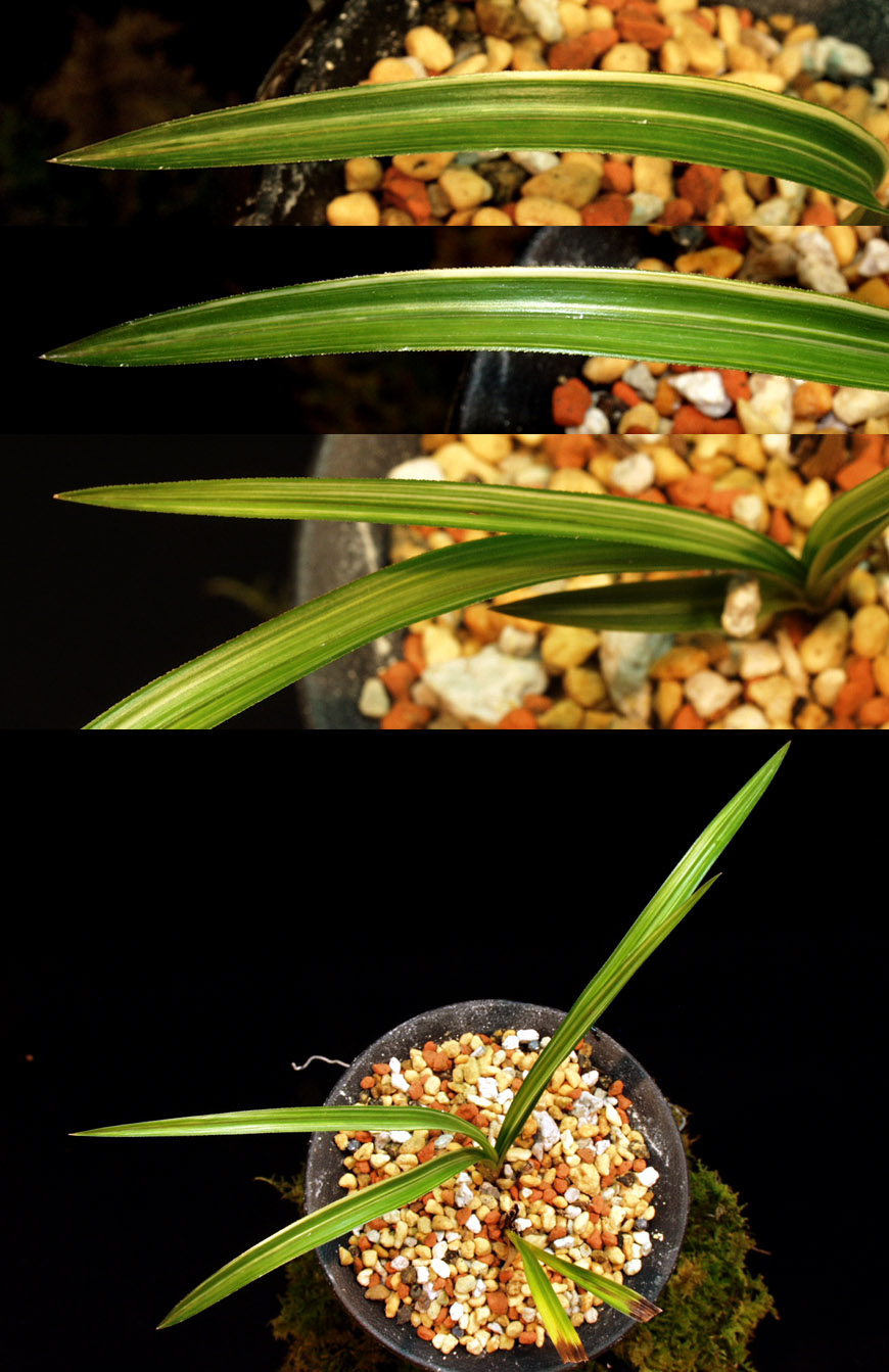 ������ ū������ �� �� �ֽ��ϴ�.