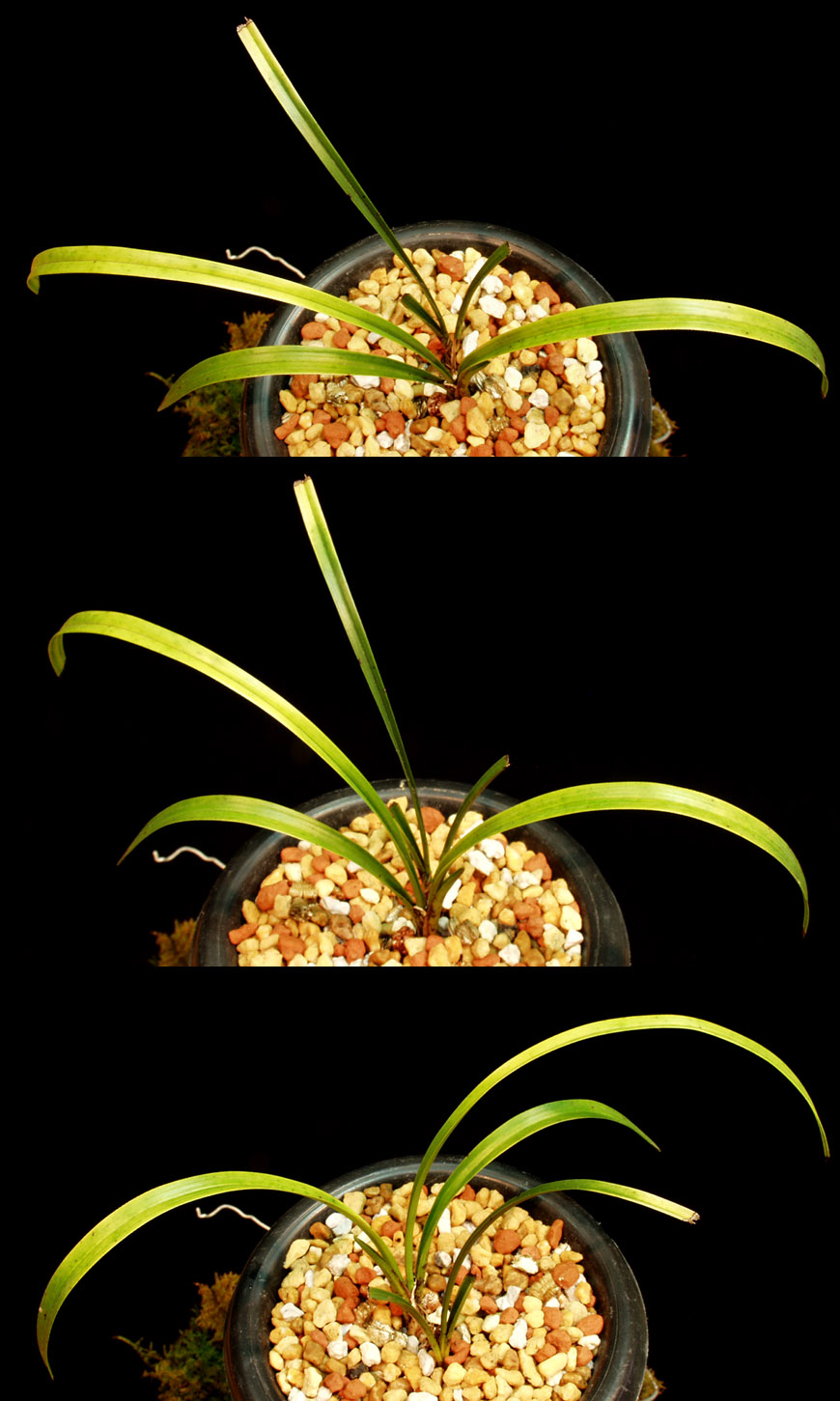 ������ ū������ �� �� �ֽ��ϴ�.