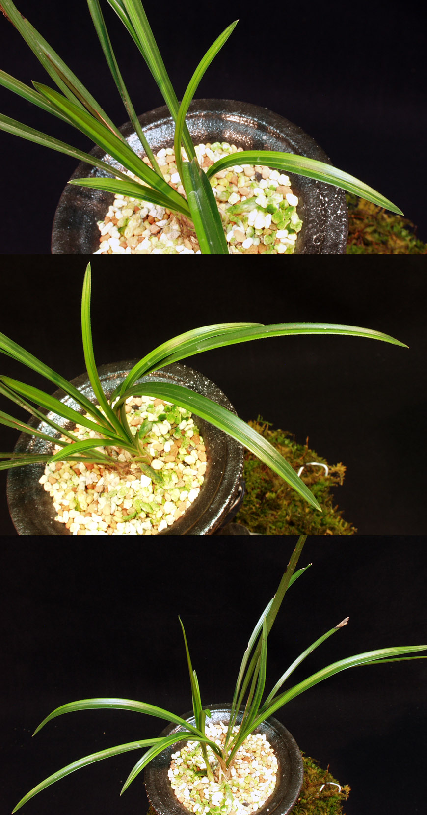 ������ ū������ �� �� �ֽ��ϴ�.