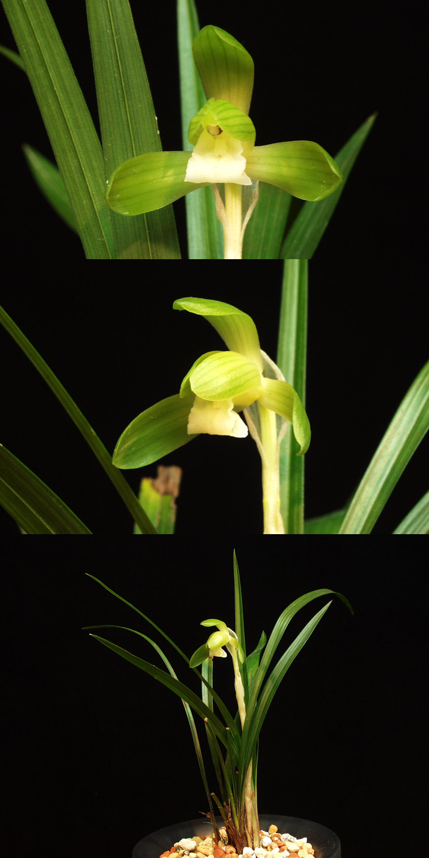 ������ ū������ �� �� �ֽ��ϴ�.