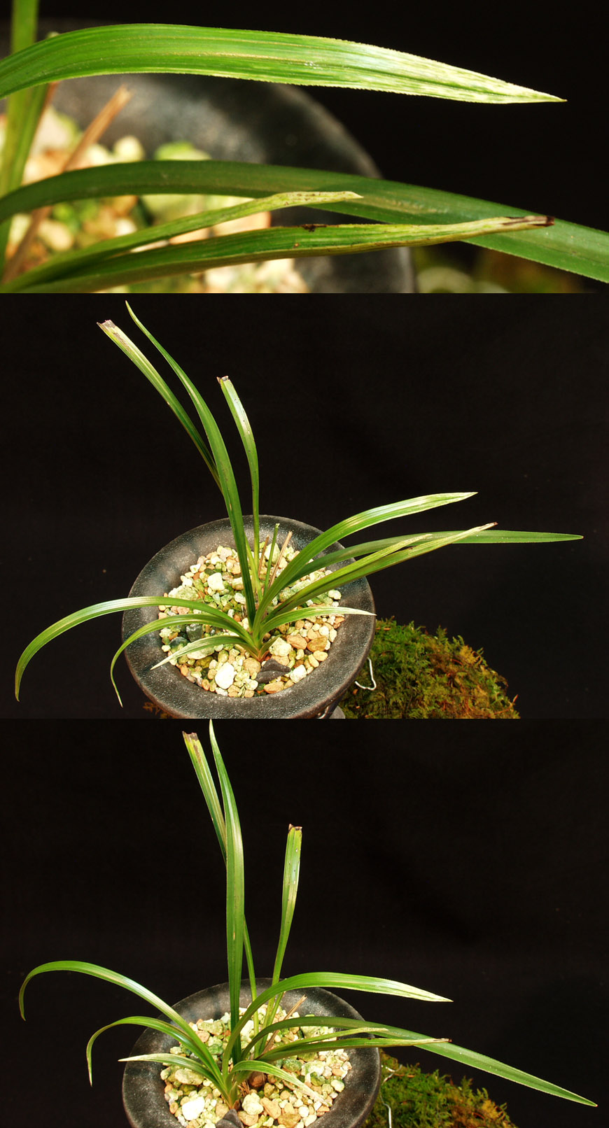 ������ ū������ �� �� �ֽ��ϴ�.