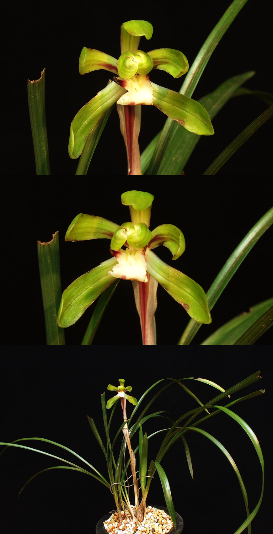 ������ ū������ �� �� �ֽ��ϴ�.