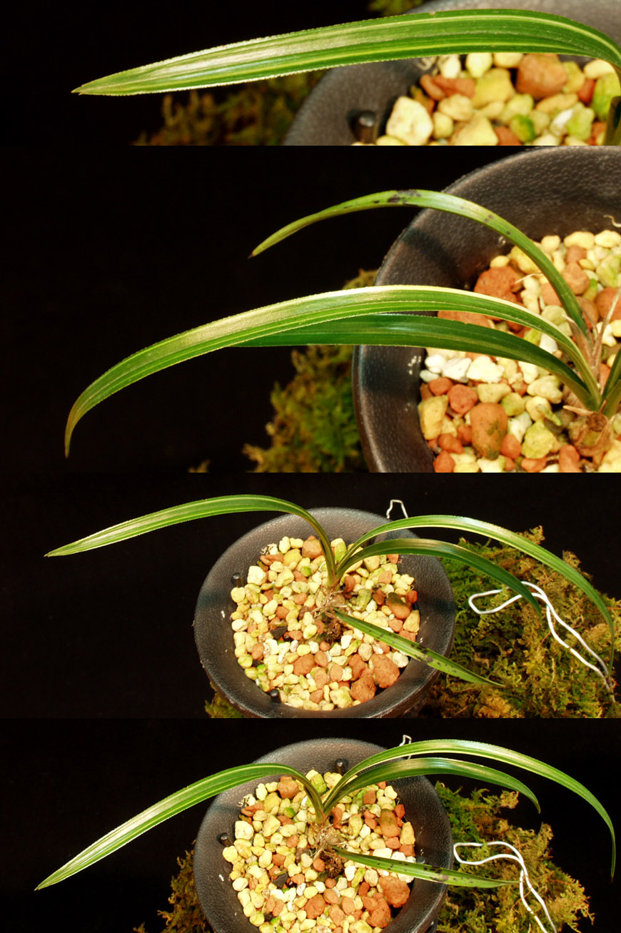 ������ ū������ �� �� �ֽ��ϴ�.