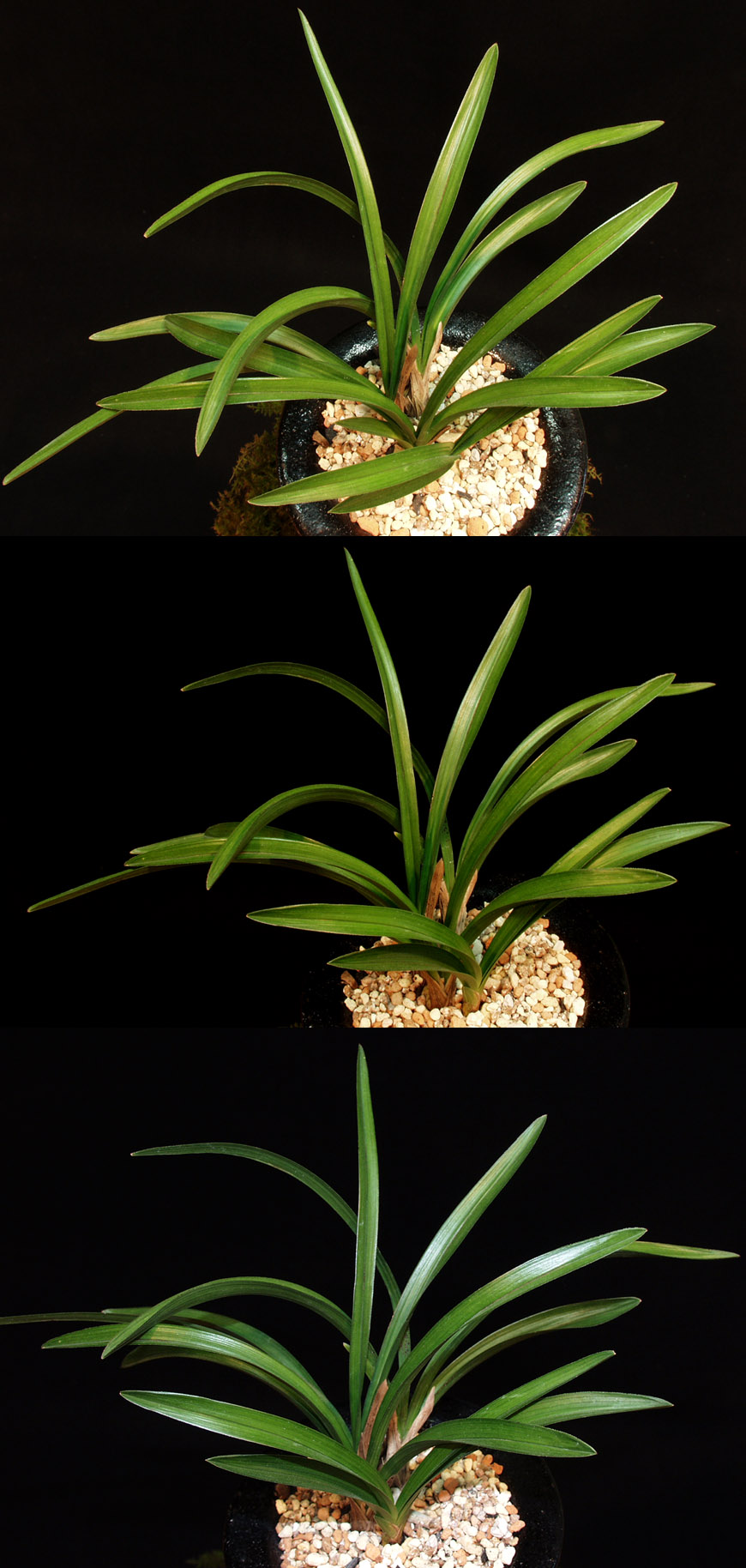 ������ ū������ �� �� �ֽ��ϴ�.