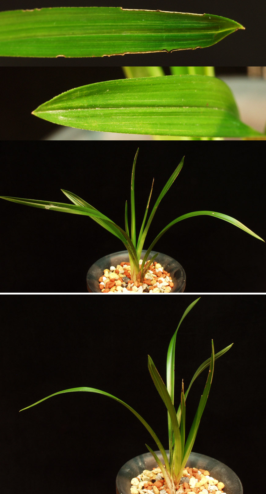 ������ ū������ �� �� �ֽ��ϴ�.