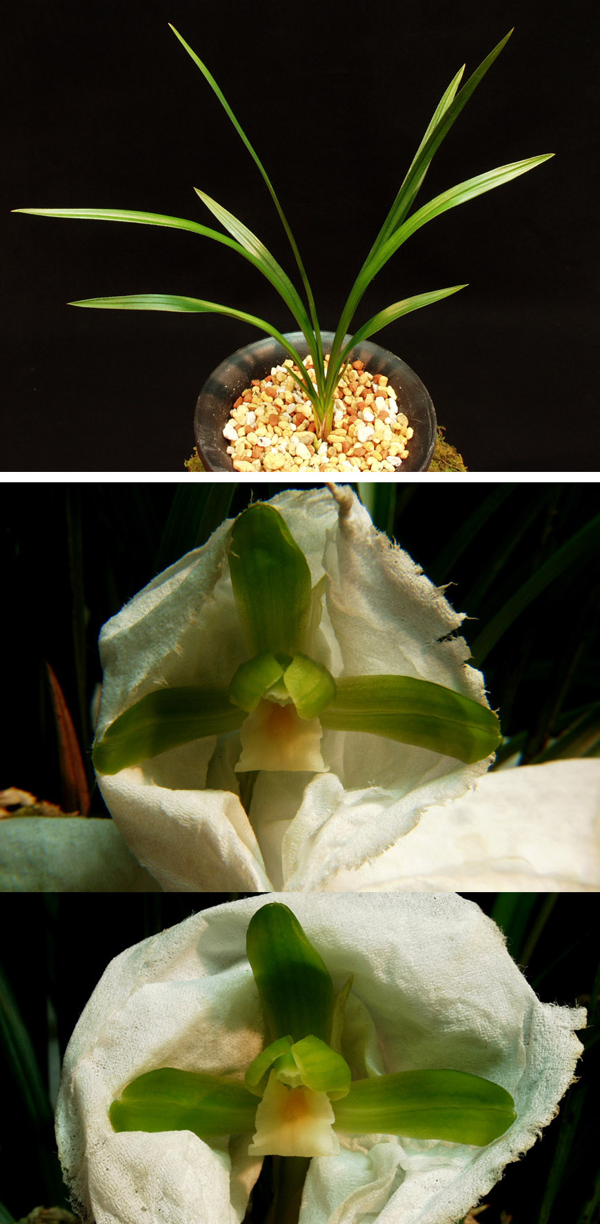 ������ ū������ �� �� �ֽ��ϴ�.