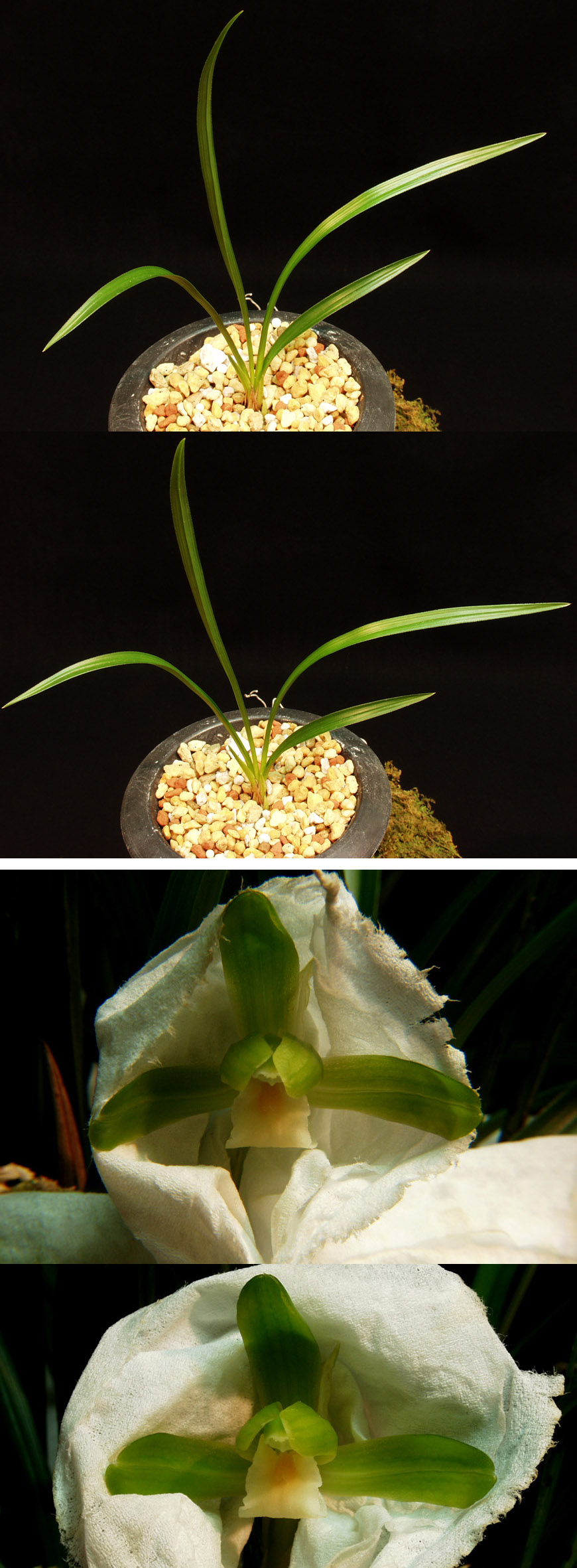 ������ ū������ �� �� �ֽ��ϴ�.