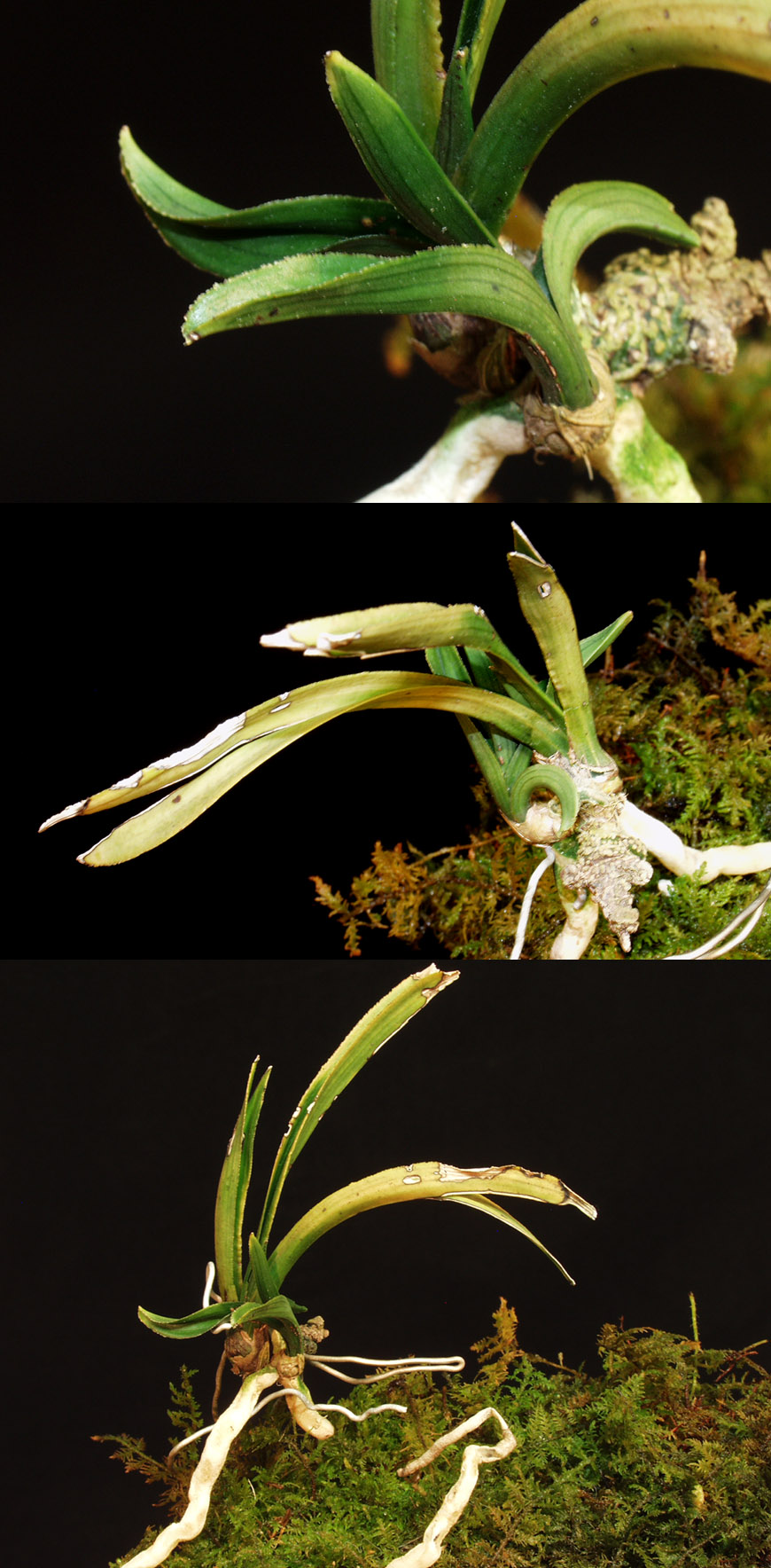 ������ ū������ �� �� �ֽ��ϴ�.