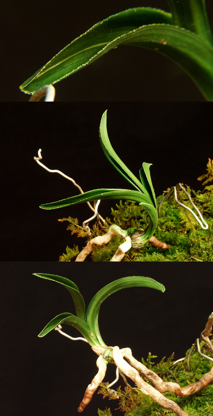 ������ ū������ �� �� �ֽ��ϴ�.