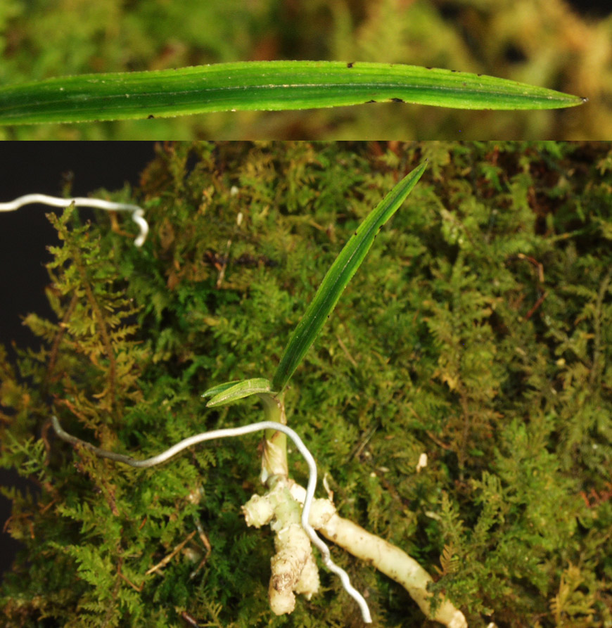 ������ ū������ �� �� �ֽ��ϴ�.