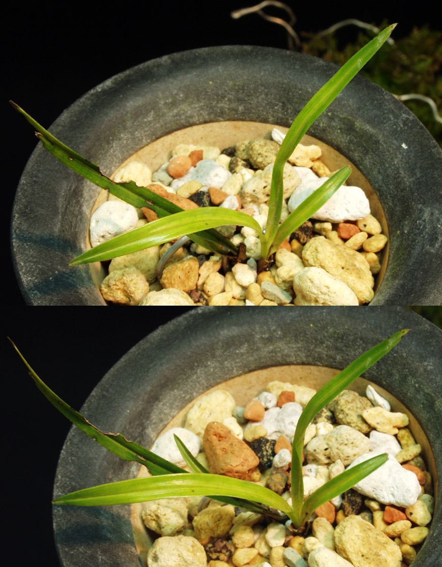 ������ ū������ �� �� �ֽ��ϴ�.