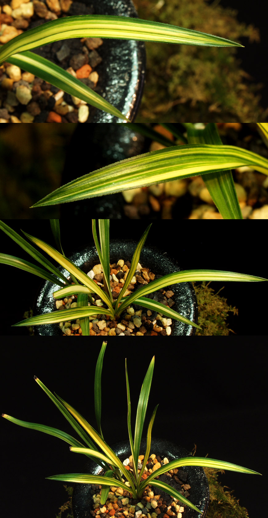 ������ ū������ �� �� �ֽ��ϴ�.