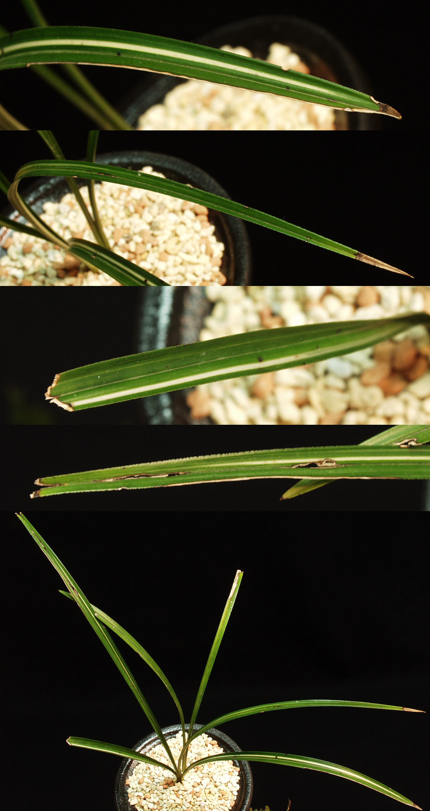 ������ ū������ �� �� �ֽ��ϴ�.