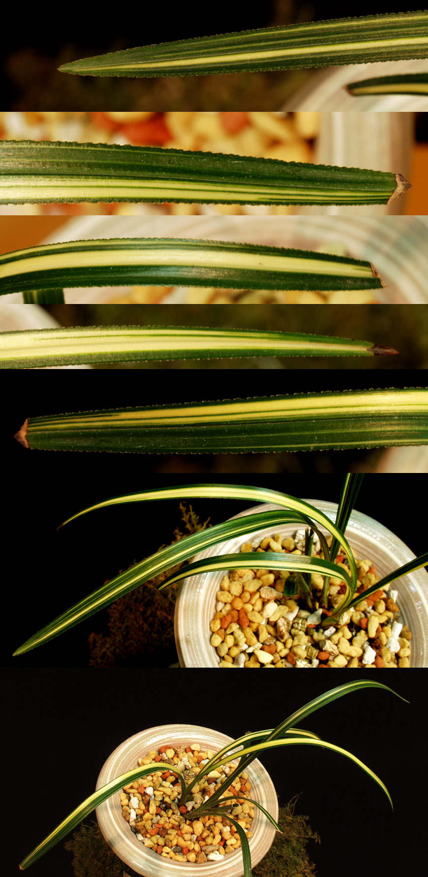 ������ ū������ �� �� �ֽ��ϴ�.