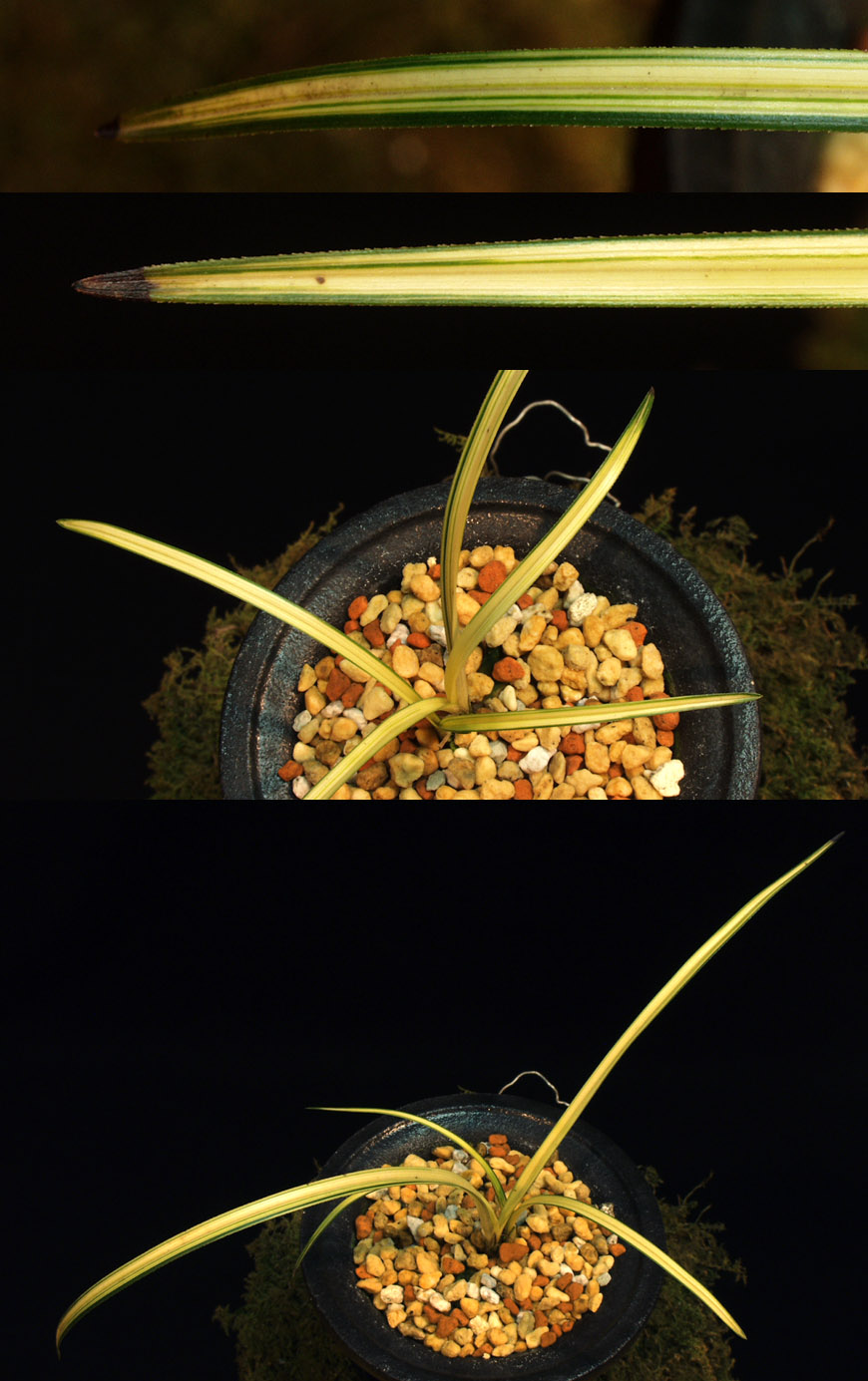 ������ ū������ �� �� �ֽ��ϴ�.