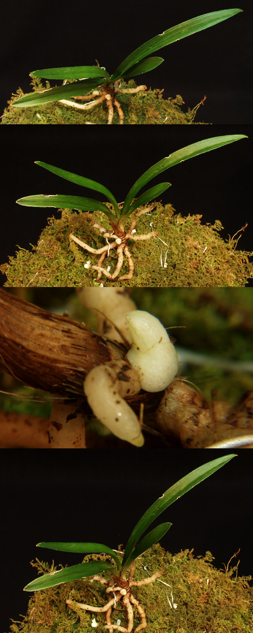 ������ ū������ �� �� �ֽ��ϴ�.